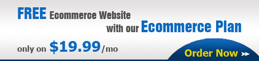 Free Ecommerce website with our Ecommerce plan